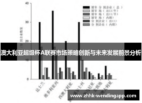 澳大利亚超级杯A联赛市场策略创新与未来发展前景分析 澳大利亚超级杯A联赛市场策略创新与未来发展前景分析